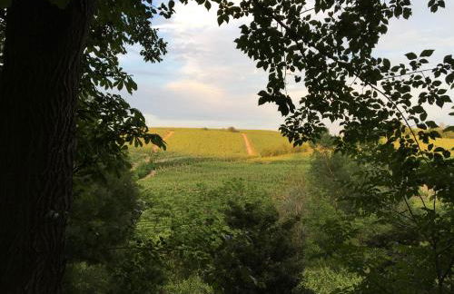 Agriturismo Relais "il Bricco" - Foto 117