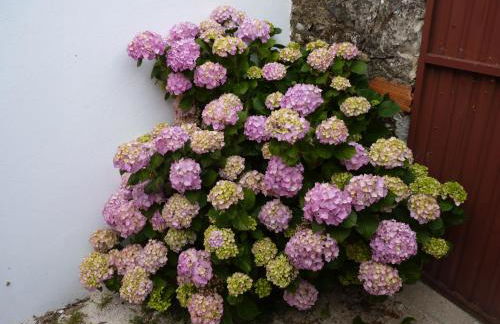 Refugio da Ti Maria - Photo 31