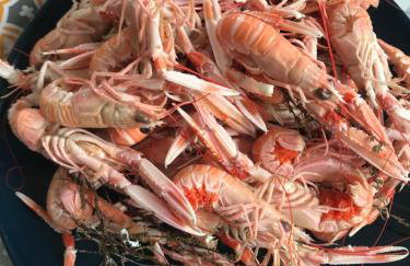 Le Chalet de Kervignon - Foto 11