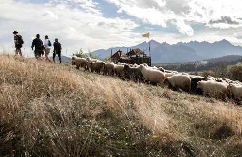 Zagroda Rusiński - Foto 24