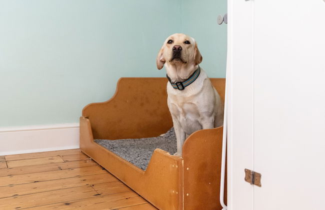 Serendipity - Foto 14