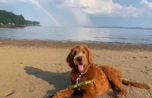 2 BR City Sanctuary - 5 Mins to Historical Salem! - Photo 26