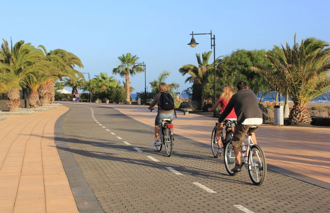 Arena Dorada - Apartments - Photo 21