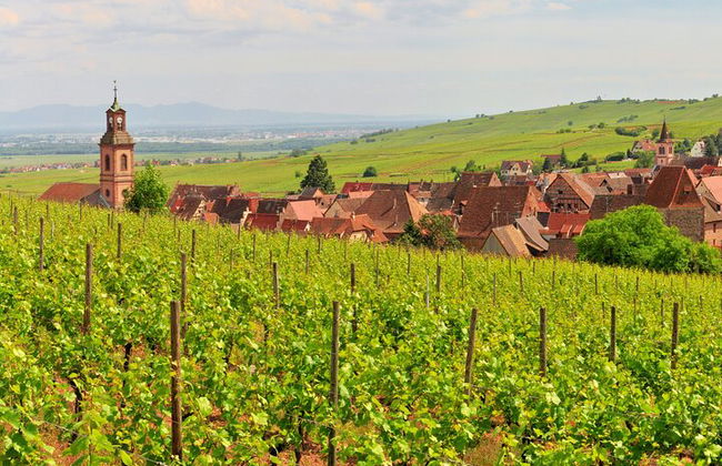 Elsässische Weinstraße Halbtagestour in kleiner Gruppe mit Verkostung ab Straßburg - Foto 9