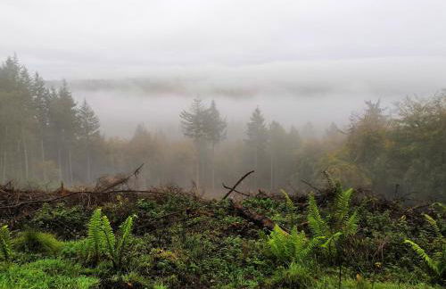 Bowkett Cottage - Foto 27