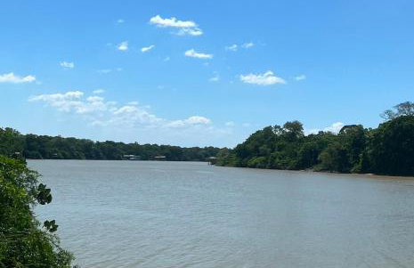 Casa na ilha do combu - Foto 3