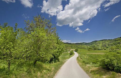 Villa Marija in Pekici (Haus für 8-10 Personen) - Foto 40