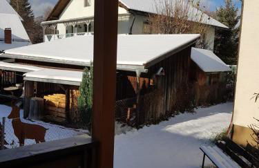 Traumhafte Wohnung im Herzen von Zwiesel mit Garten - Foto 5