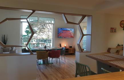 Les Cigales - Photo 7