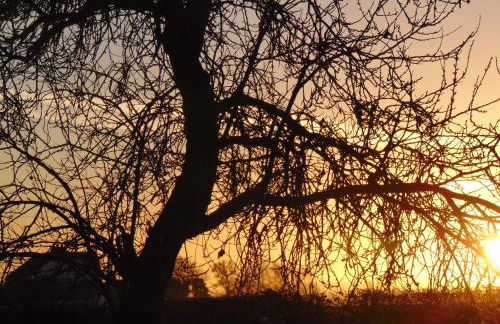 The Haybarn - Foto 46