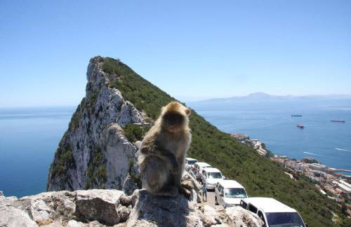 Stunning unobstructed 180 degree sea view apartment with 100 square meters terrace - Costa del Sol - Estepona- Long Term - Photo 33