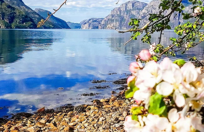 13 Person Holiday Home in Songesand - Photo 2