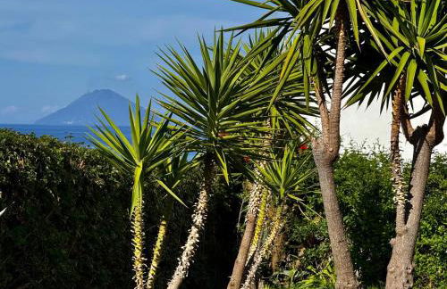 L'Agave, Salina - Foto 29