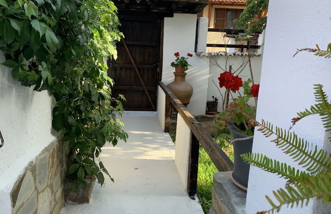 Beautiful Petrino 1880 - Photo 38