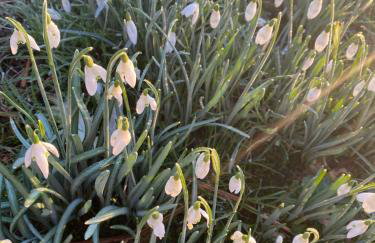 St Martin’s view - Foto 41