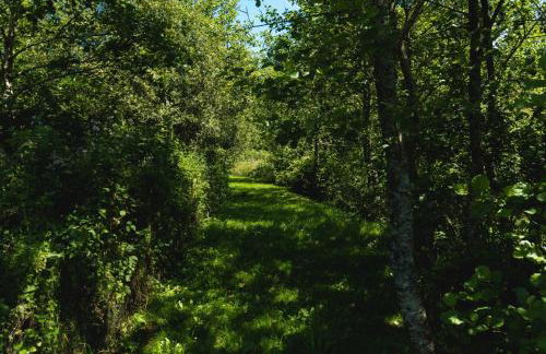 Blare Cottage at Lower Aylescott - Foto 8