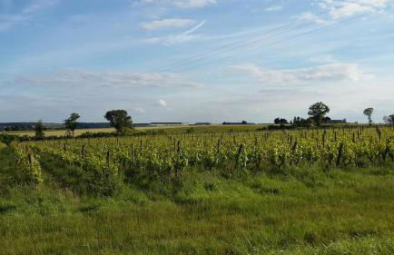 Maison De Denise - Foto 20