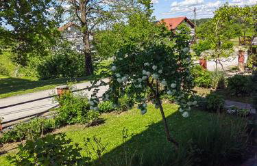 Apartman Barbara - Foto 29