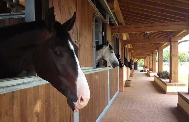 Agriturismo Il Boschetto - Photo 19