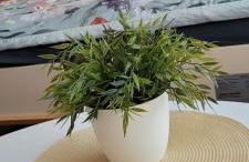 Anna Altreichenau - Foto 8