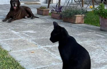 Casa Vacanze La Vecchia Brace - Foto 18