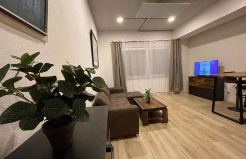 Goldstadt Comfort Suite - City Apartment Schlössle - Foto 62