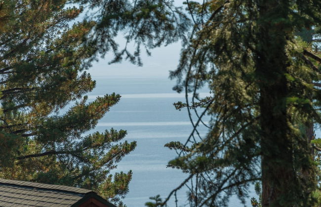 Huckleberry Haus - Foto 27