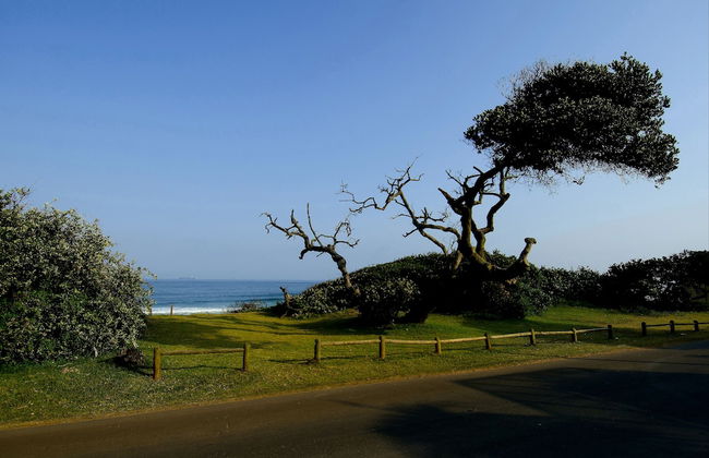 6 Dolphin Views - Near Umdloti Beach - Photo 20