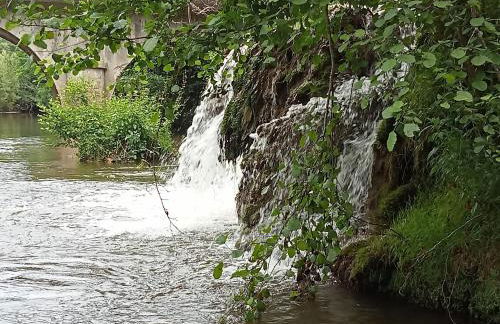 Les gites de Pétrocoriis - Boulazac Périgueux - Foto 25
