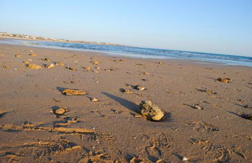 La Carrajolilla - Foto 50