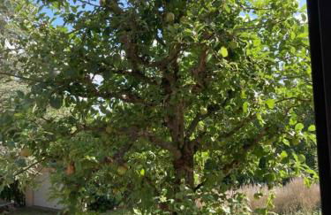 Villa Sonnenblick 13 Minuten zum #Playmobil #Funpark - Foto 73