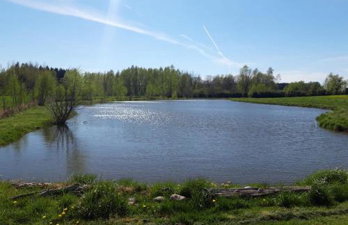 Caloroczny domek letniskowy ze stawem - Foto 25