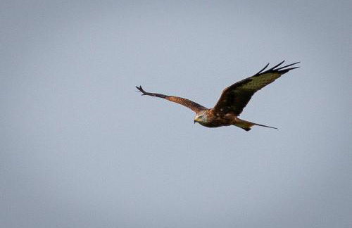 Chalet Abnona - Foto 9