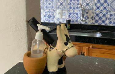 Flat dos Bandeirantes - Foto 61