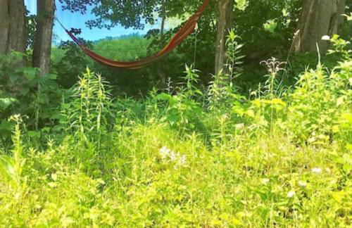 Sadawga Springs Retreat - Foto 45