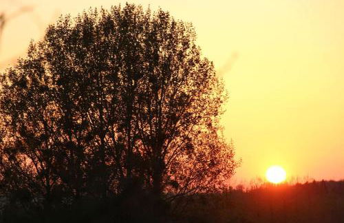 Maisonnette au calme, 15 kms Honfleur/Deauville - Foto 24