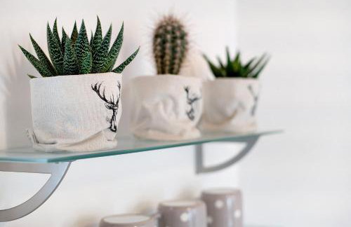 Borgo Vico - Photo 32