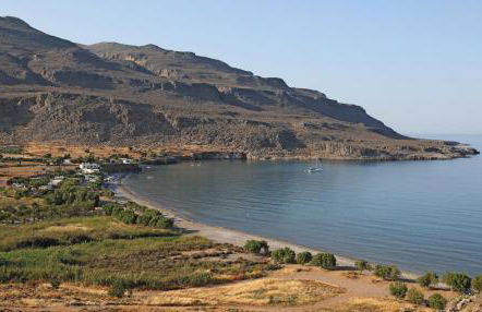 Little Blue - Photo 26