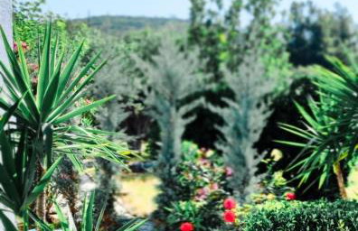 Trikorfo Bungalows - Foto 11