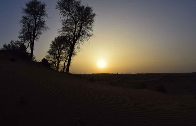 Desert Safari con cena y espectáculo - Foto 4