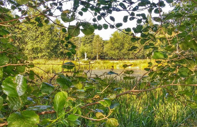 Castro de Viladonga Tour - Foto 3