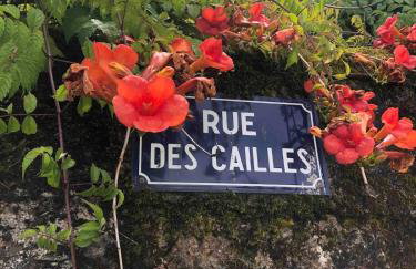 Gite Coccinelle in the medieval town of Confolens - Foto 61