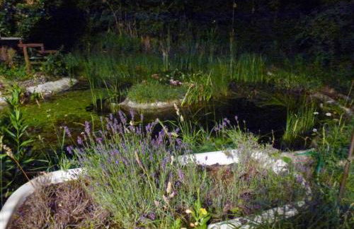 Villa-Hufeland - Foto 77