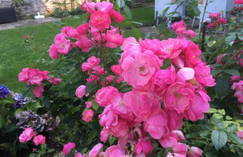 Ferienhaus Plan B. Wittlich - Foto 9