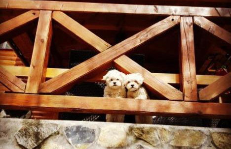 Kuća za odmor Bajka - Photo 59