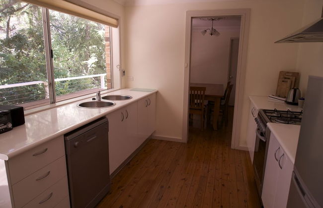 Leura Camellias - Photo 3