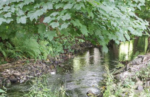 The Fountain Lodge - Photo 31