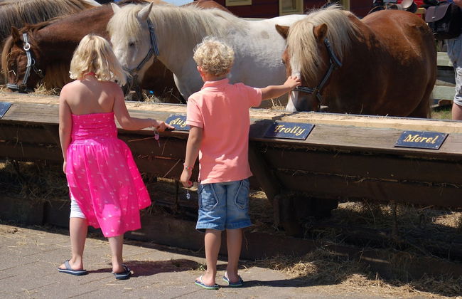 Restyled Single Storey Bungalow, Near the Sea on Texel - Foto 23