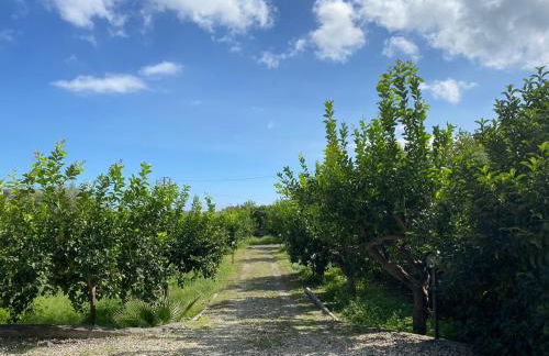 Casa Marietta - Foto 32