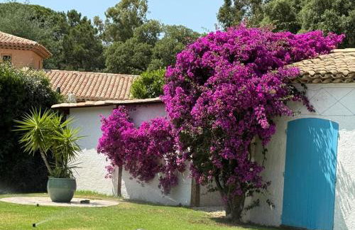 Villa Eleven StTropez Ramatuelle Pampelonne beach - Foto 32
